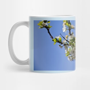 Plum Blossom in Springtime Mug